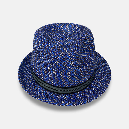 Stingy Brim braided hat Mannes by Bailey | Skydiver